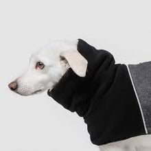 Laden Sie das Bild in den Galerie-Viewer, Cloud7 Hundemantel Oxford Flanell Anthra