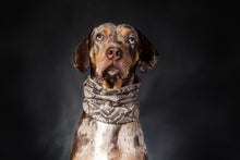 Laden Sie das Bild in den Galerie-Viewer, Doggy Loop Pythofelli