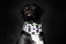 Laden Sie das Bild in den Galerie-Viewer, Doggy Loop Wadenbeißer