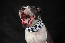 Laden Sie das Bild in den Galerie-Viewer, Doggy Loop Wadenbeißer