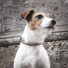 Laden Sie das Bild in den Galerie-Viewer, Halsband "Criss Cross Soft" - Simply Taupe