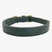 Laden Sie das Bild in den Galerie-Viewer, Halsband "Beginning" - Forest Green