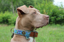 Laden Sie das Bild in den Galerie-Viewer, DWAM Hundehalsband Boho Blau