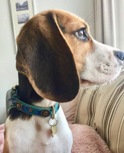 Laden Sie das Bild in den Galerie-Viewer, DWAM Hundehalsband Boho Blau