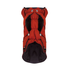 Laden Sie das Bild in den Galerie-Viewer, Happy-House Hundejacke Red Champion